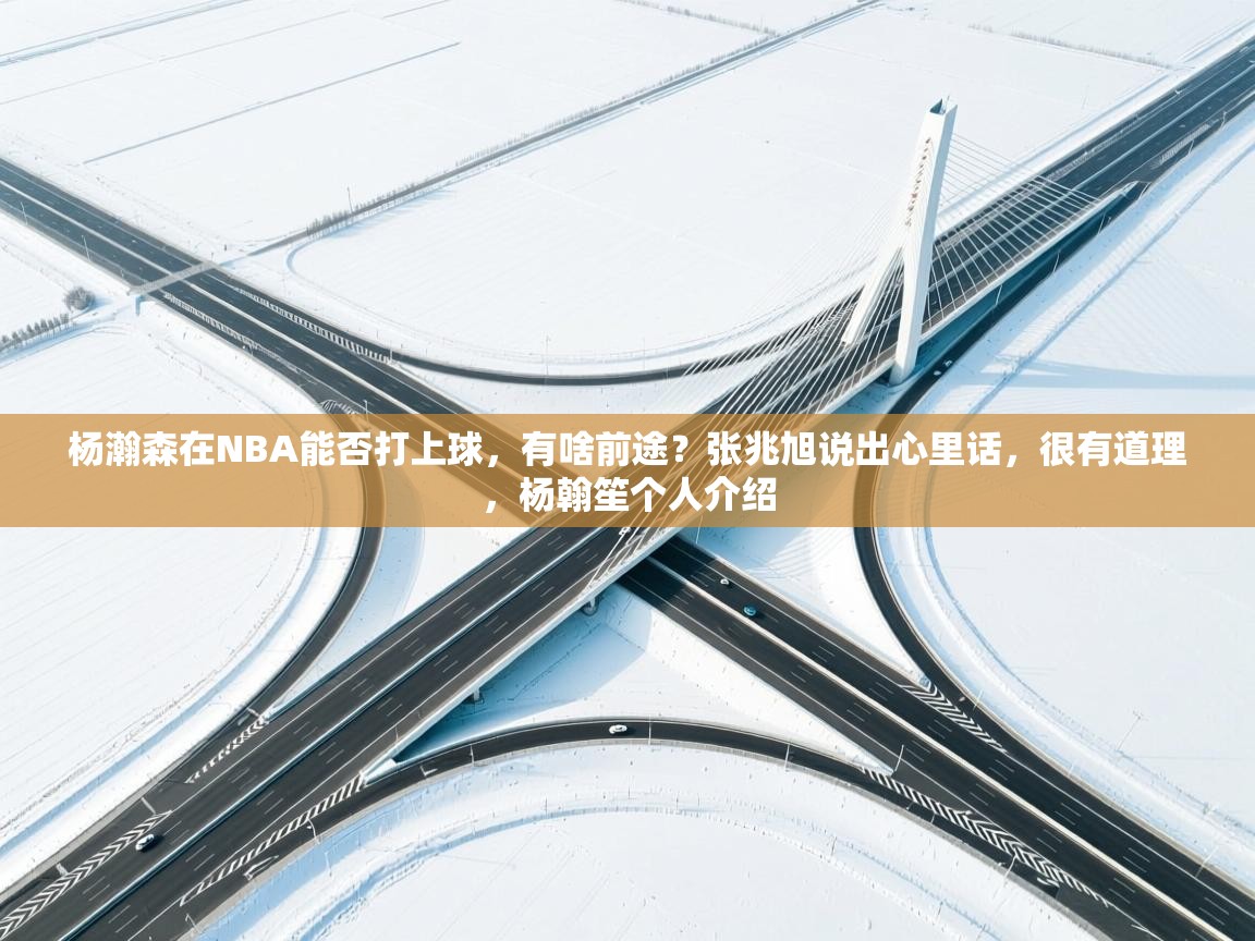 开云体育联赛专题页-杨瀚森在NBA能否打上球,有啥前途?张兆旭说出心里话,很有道理,杨翰笙个人介绍 第2张