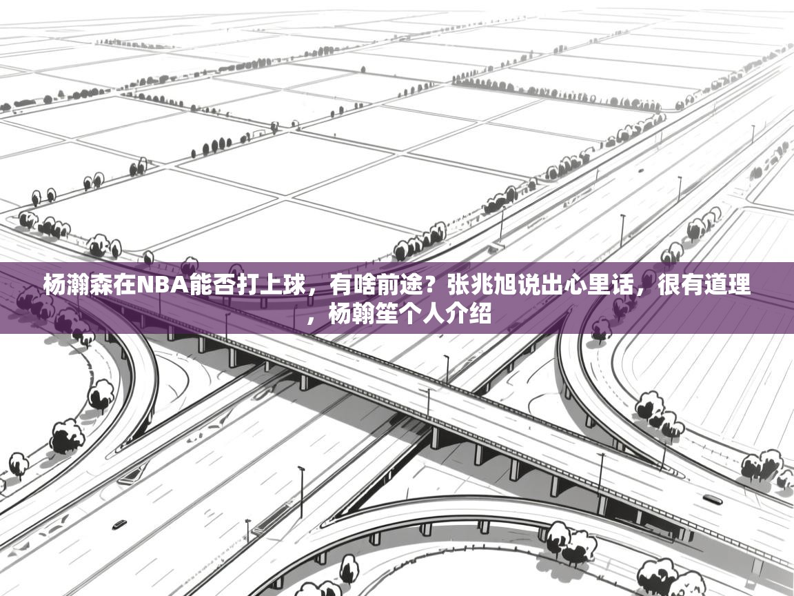 开云体育联赛专题页-杨瀚森在NBA能否打上球,有啥前途?张兆旭说出心里话,很有道理,杨翰笙个人介绍 第1张