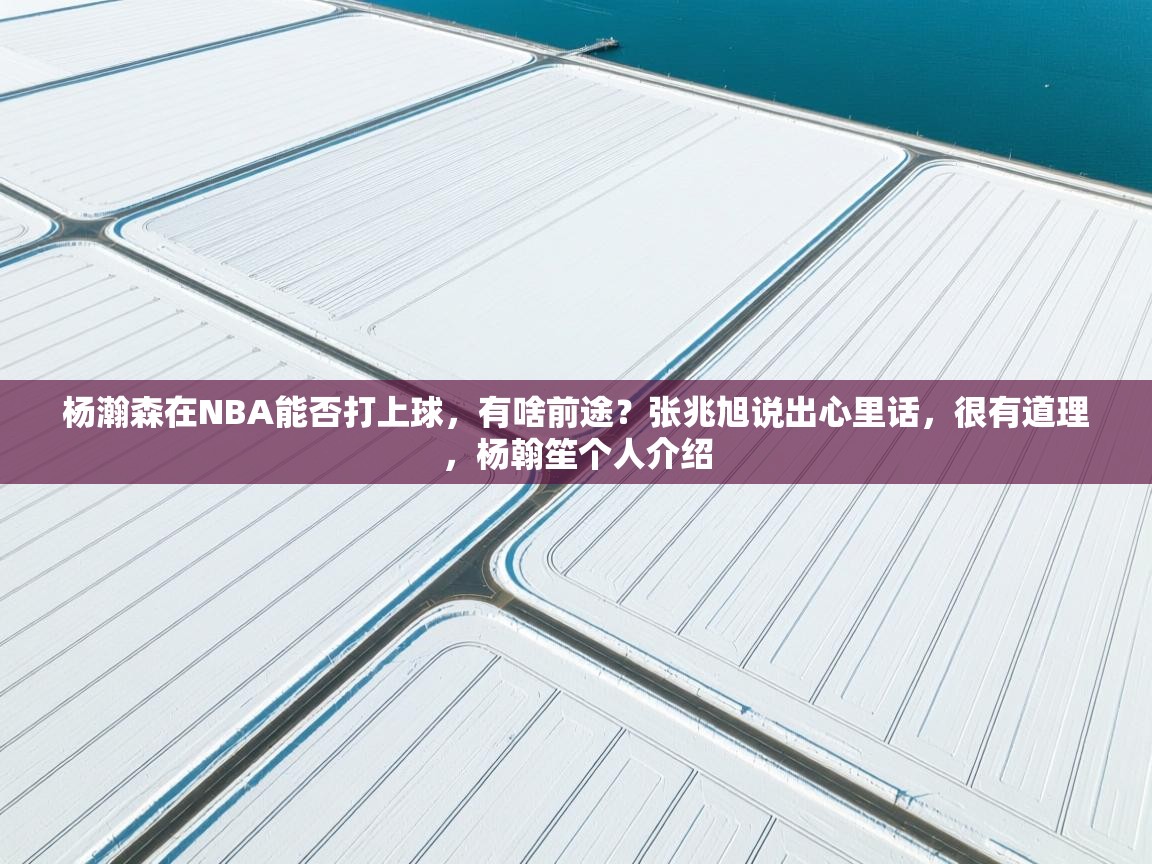 开云体育联赛专题页-杨瀚森在NBA能否打上球,有啥前途?张兆旭说出心里话,很有道理,杨翰笙个人介绍 第3张