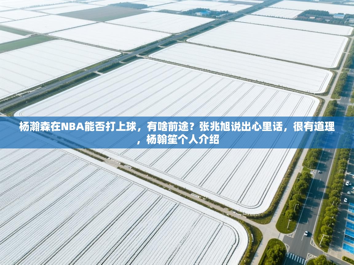 开云体育联赛专题页-杨瀚森在NBA能否打上球,有啥前途?张兆旭说出心里话,很有道理,杨翰笙个人介绍 第4张