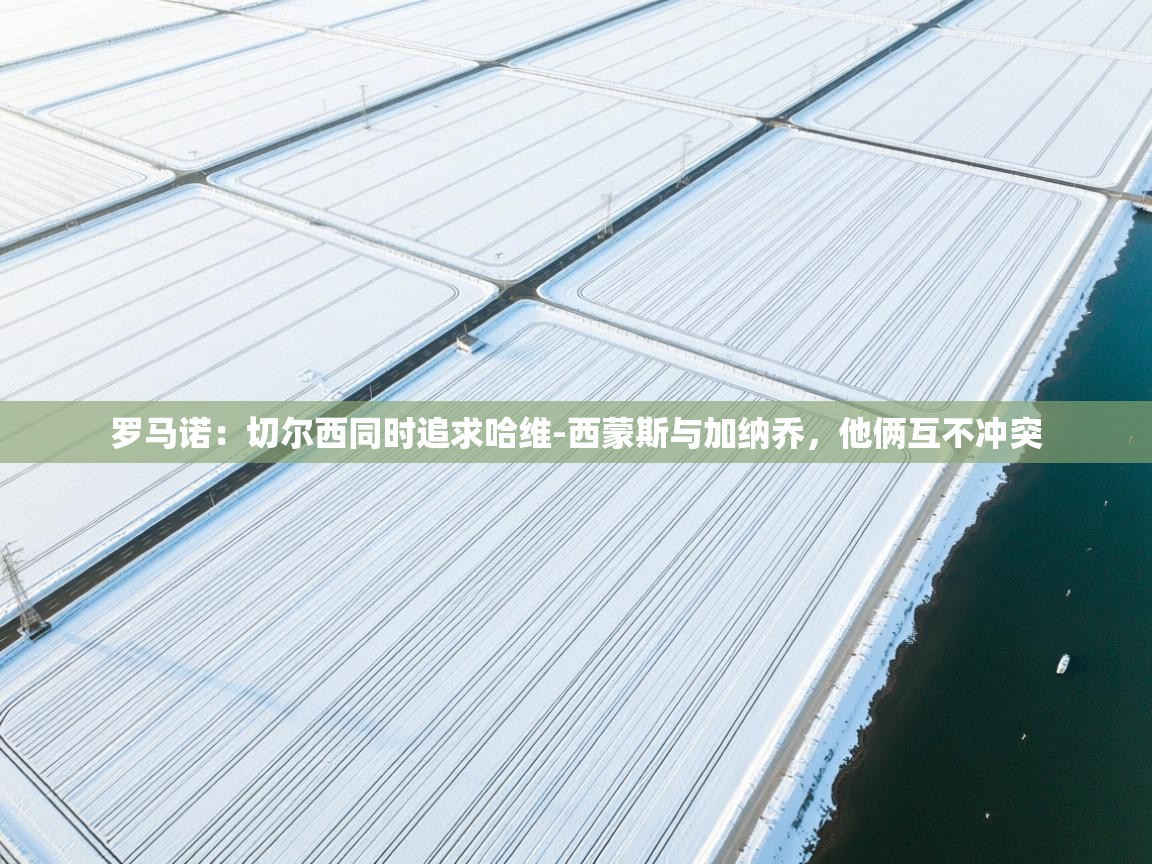 云开体育官网登录入口手机版-罗马诺：切尔西同时追求哈维-西蒙斯与加纳乔，他俩互不冲突  第2张