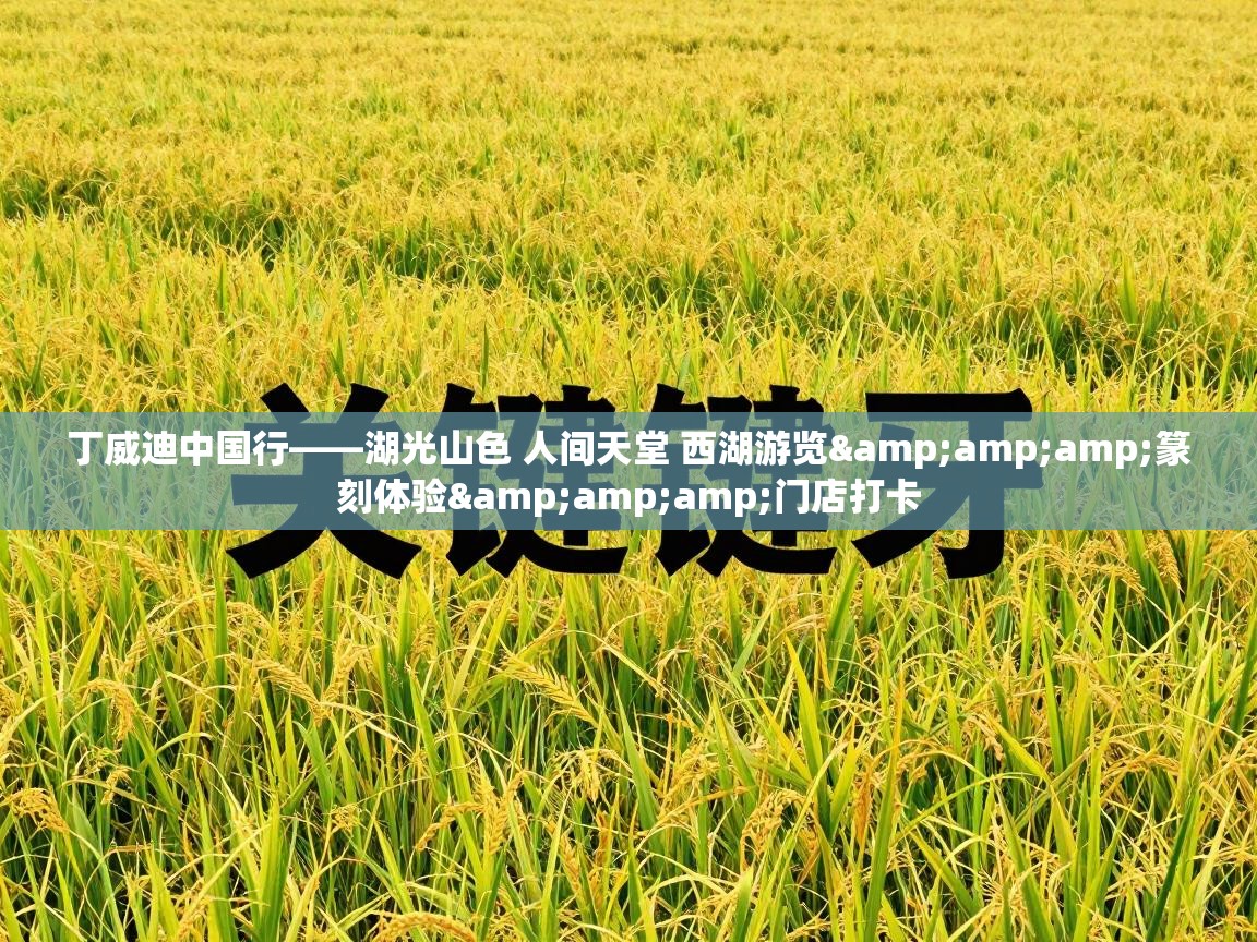 开云体育入口手机版-丁威迪中国行——湖光山色 人间天堂 西湖游览&篆刻体验&门店打卡 第4张