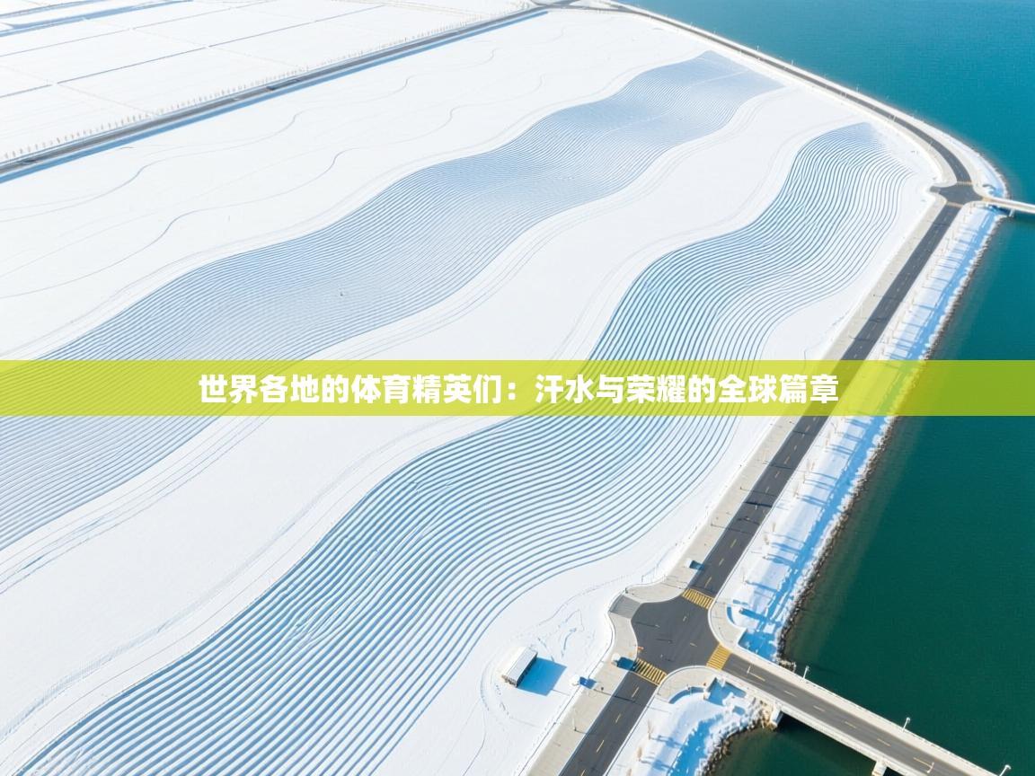 开云体育入口下载-世界各地的体育精英们：汗水与荣耀的全球篇章  第3张