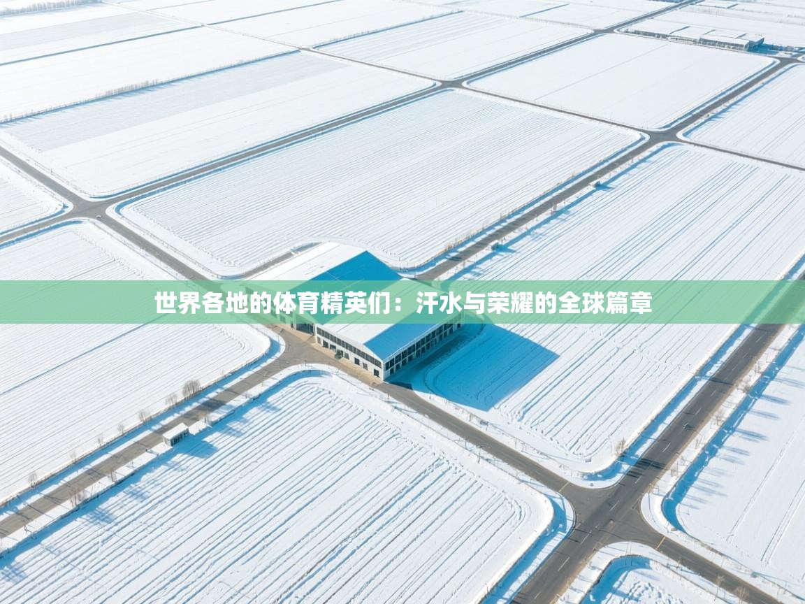 开云体育入口下载-世界各地的体育精英们：汗水与荣耀的全球篇章  第4张